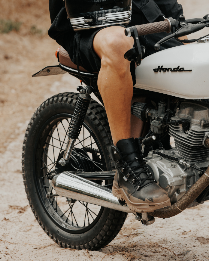 Moto Collection 2025