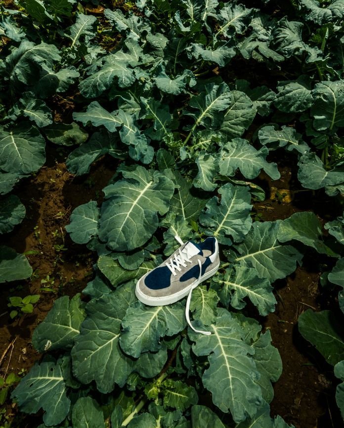 Tentoes Nature