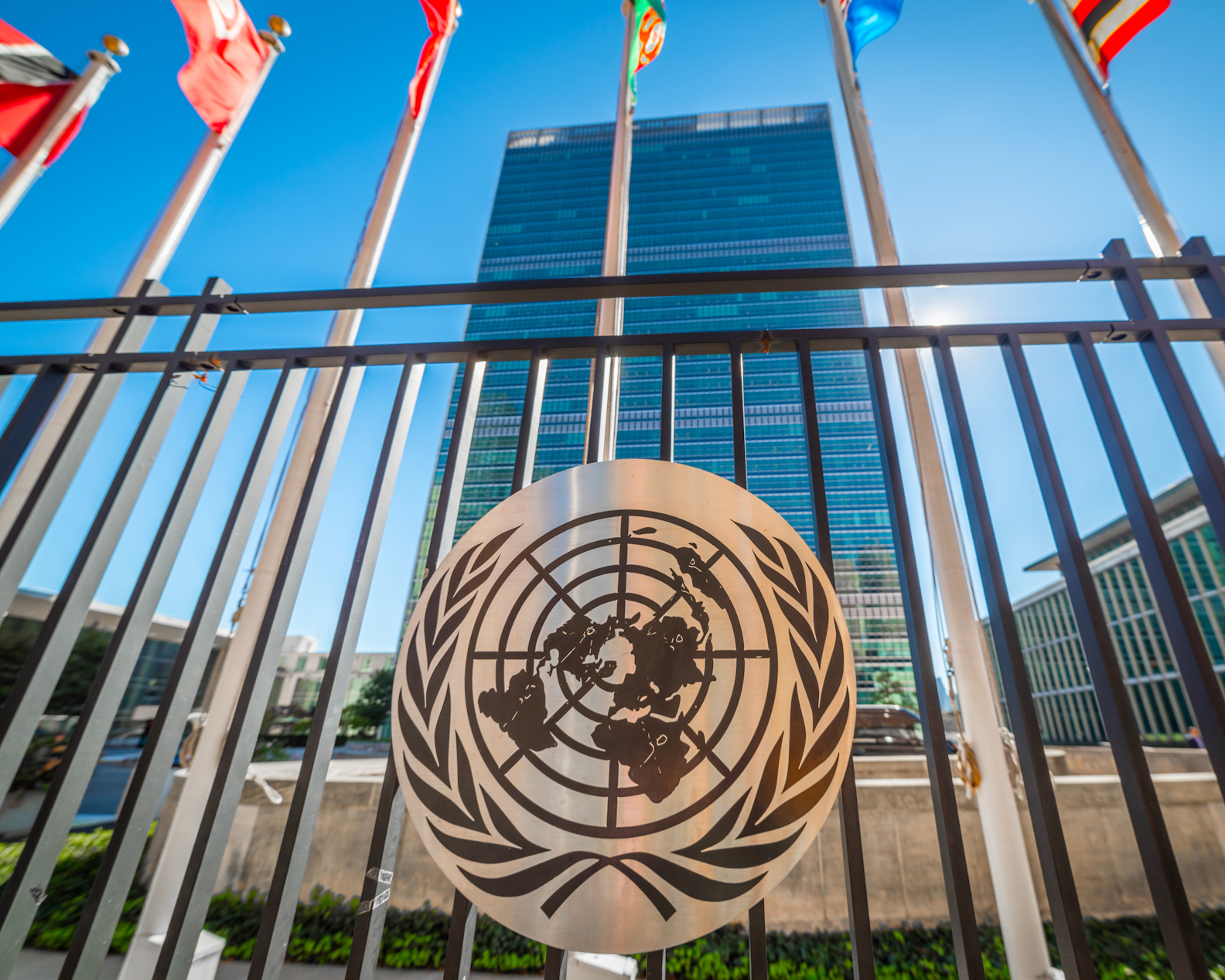 Portuguese Footwear Industry Received at the United Nations