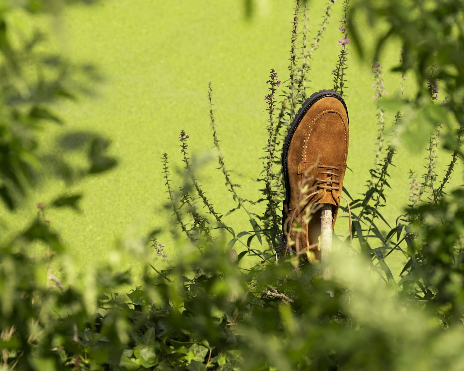 Brussels approves new legislation for Green Deal implementation